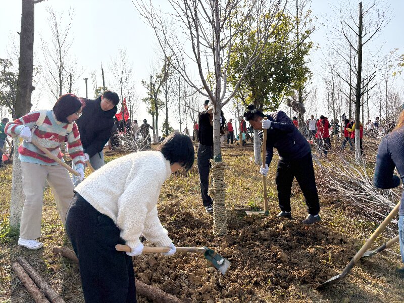種下一片綠，收獲好心情：多靈磨盤(pán)洲的植樹(shù)活動(dòng)